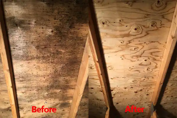 water damage restoration service Lyndhurst